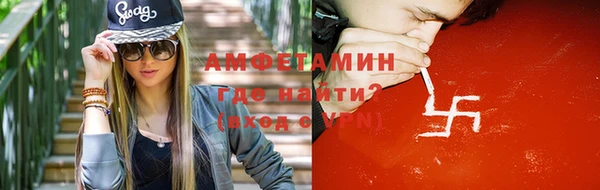 сатива Беломорск