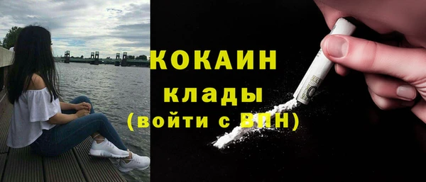 молекула духа Белокуриха