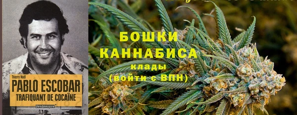 сатива Беломорск