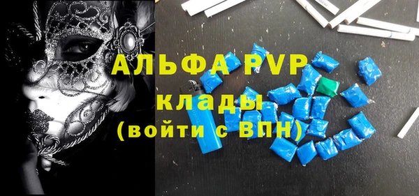 PSILOCYBIN Магас