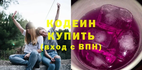 сатива Беломорск