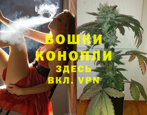 молекула духа Белокуриха