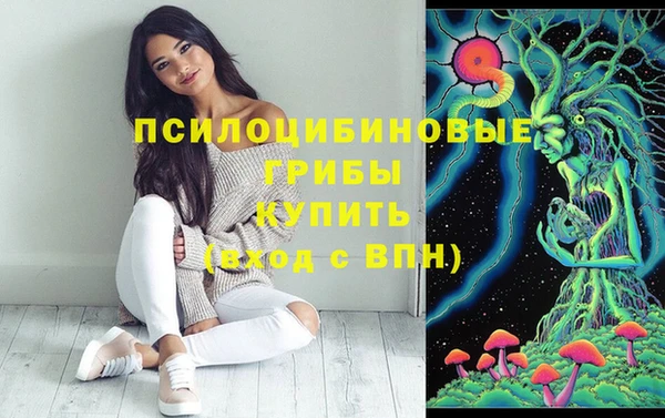 сатива Беломорск