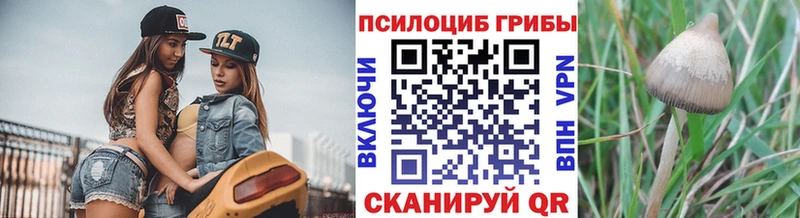 Галлюциногенные грибы мухоморы  omg ссылка  Мураши  закладки 