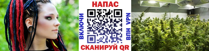 ссылка на мегу онион  Мураши  МАРИХУАНА Bruce Banner 